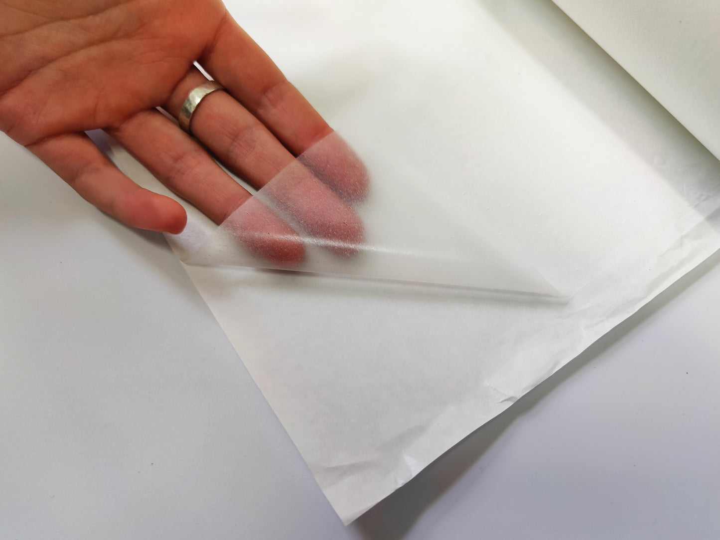 FUSIBLE FILM ADHESIVE FOR LEATHER GOODS AND FOOTWEAR - New Velo