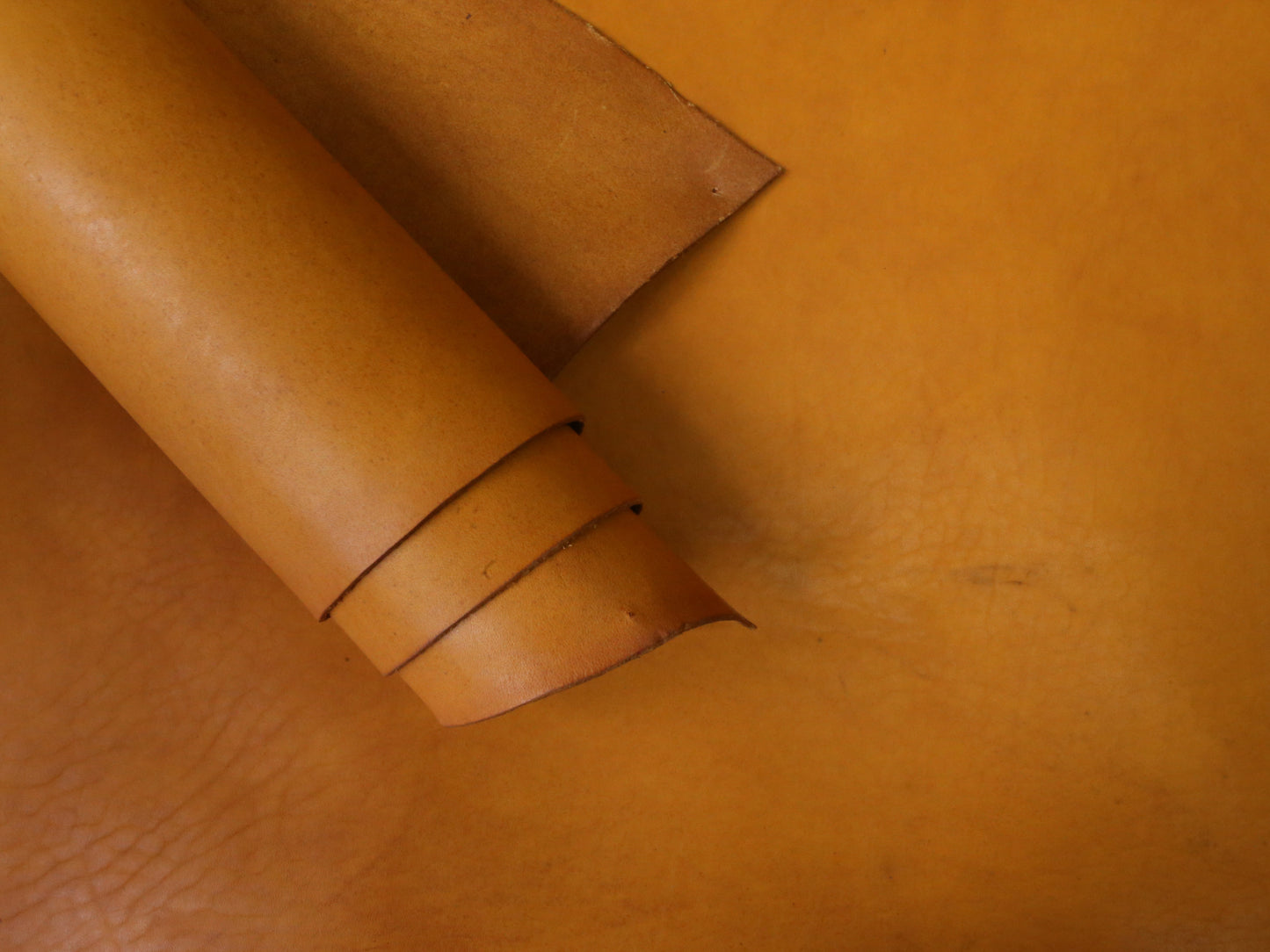 VEGETABLE TANNED BUTTS - YELLOW- 2.0mm