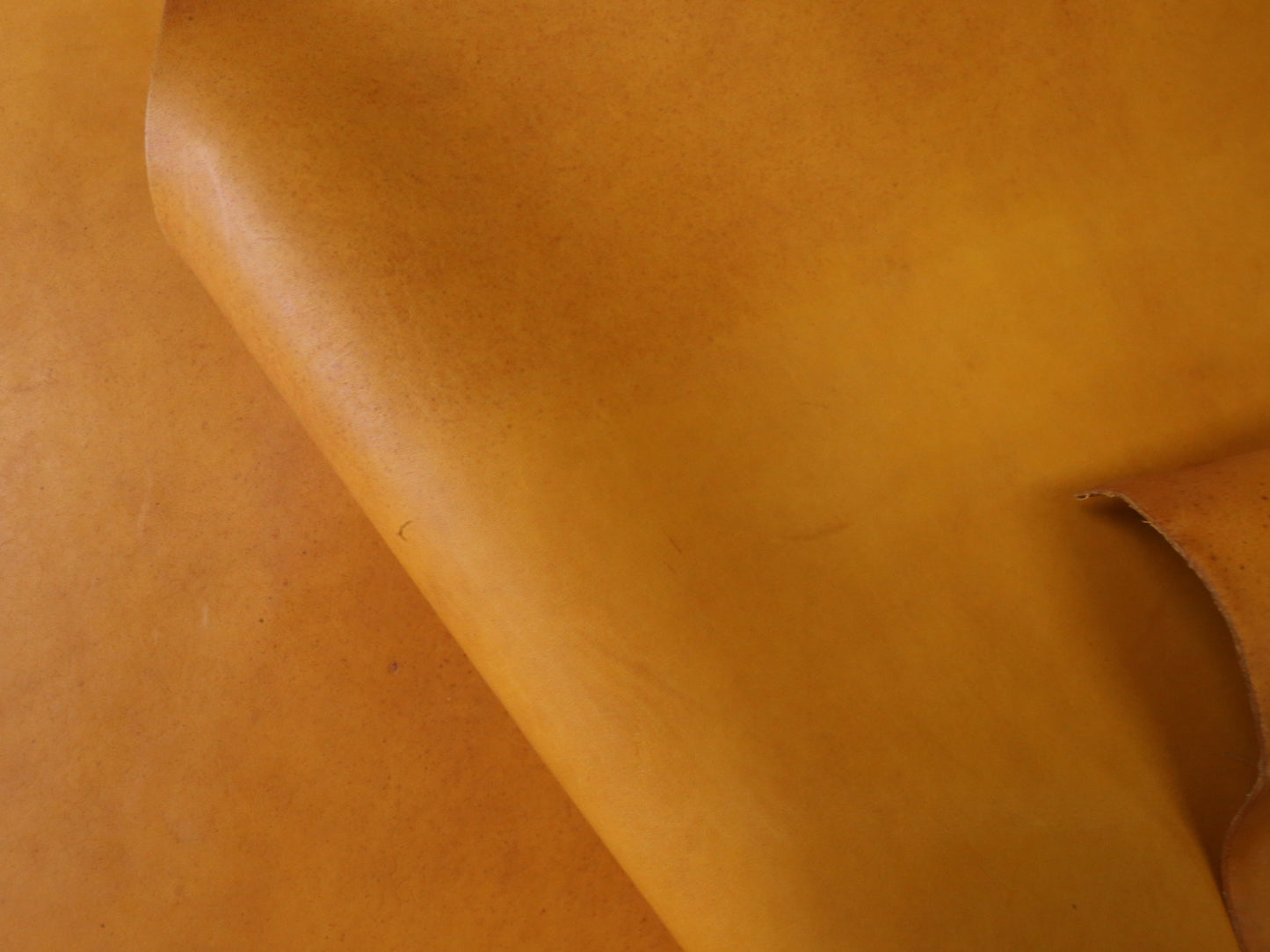 VEGETABLE TANNED BUTTS - YELLOW- 2.0mm