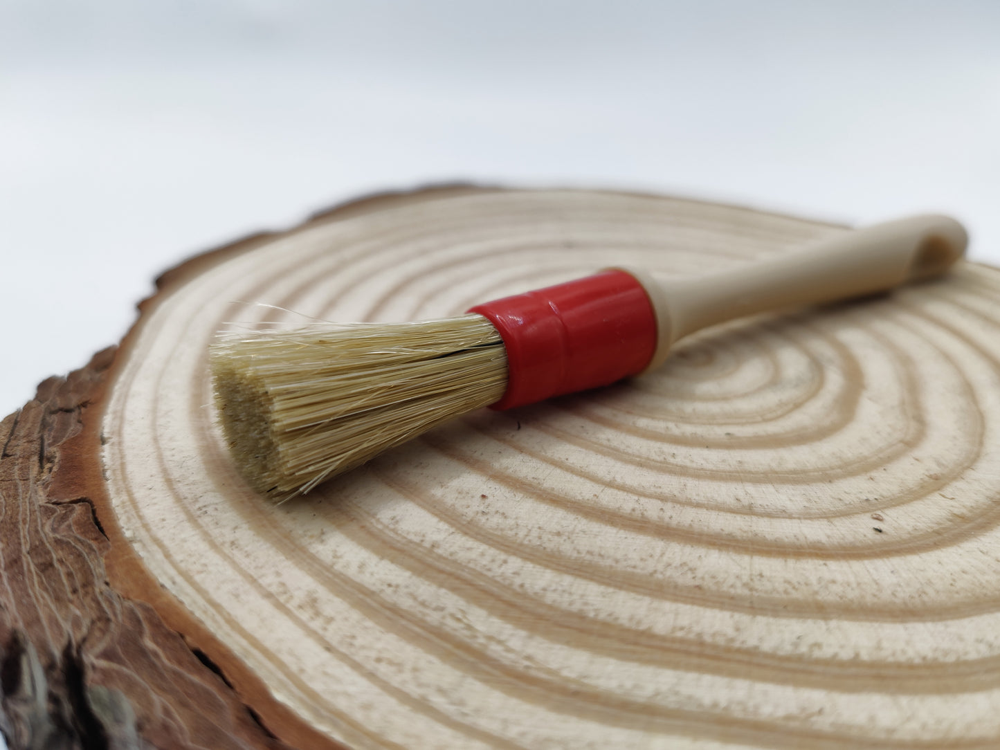 BRUSH FOR LEATHER GLUE